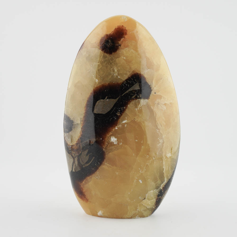 Dekoračný kameň - septárie